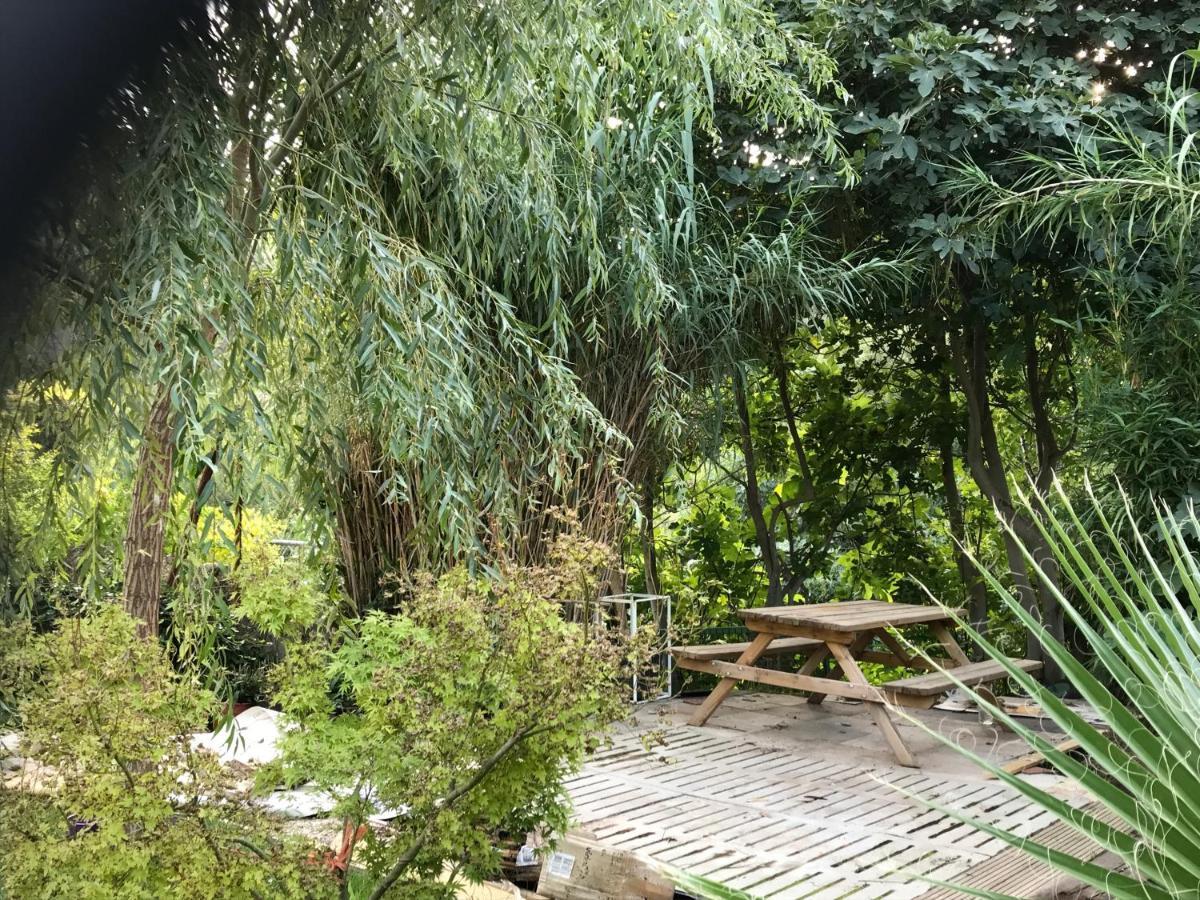Apartamentos Can Juver Beceite Bagian luar foto